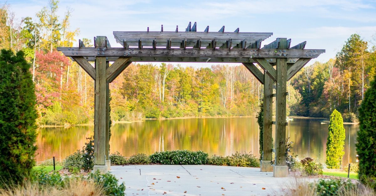 What's the Difference Between a Pergola and an Arbor?