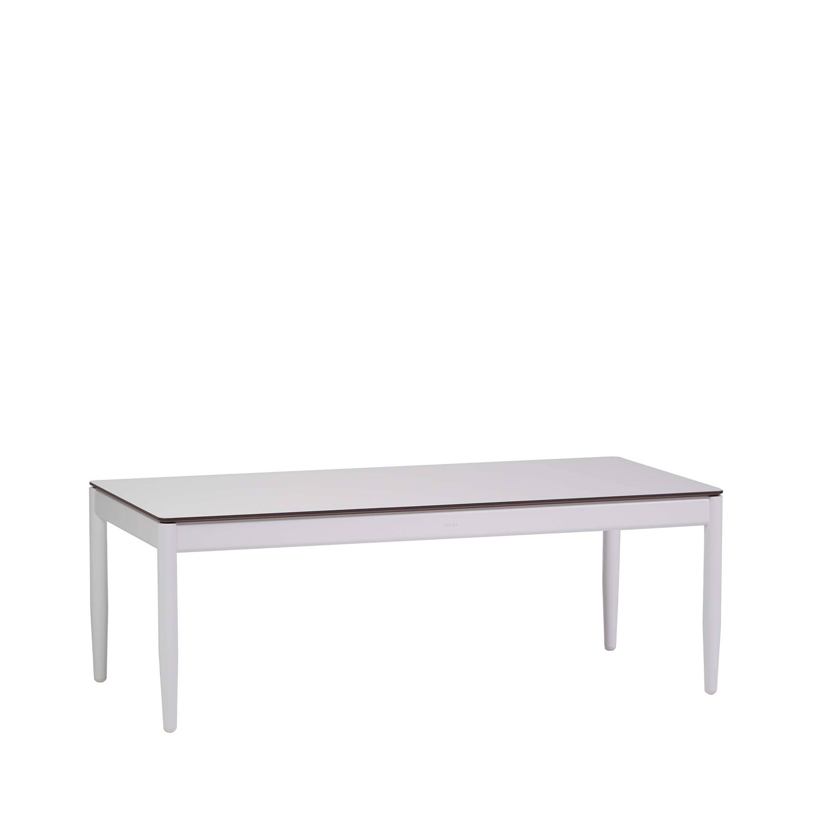 Palo 47" x 23" Rectangular Coffee Table