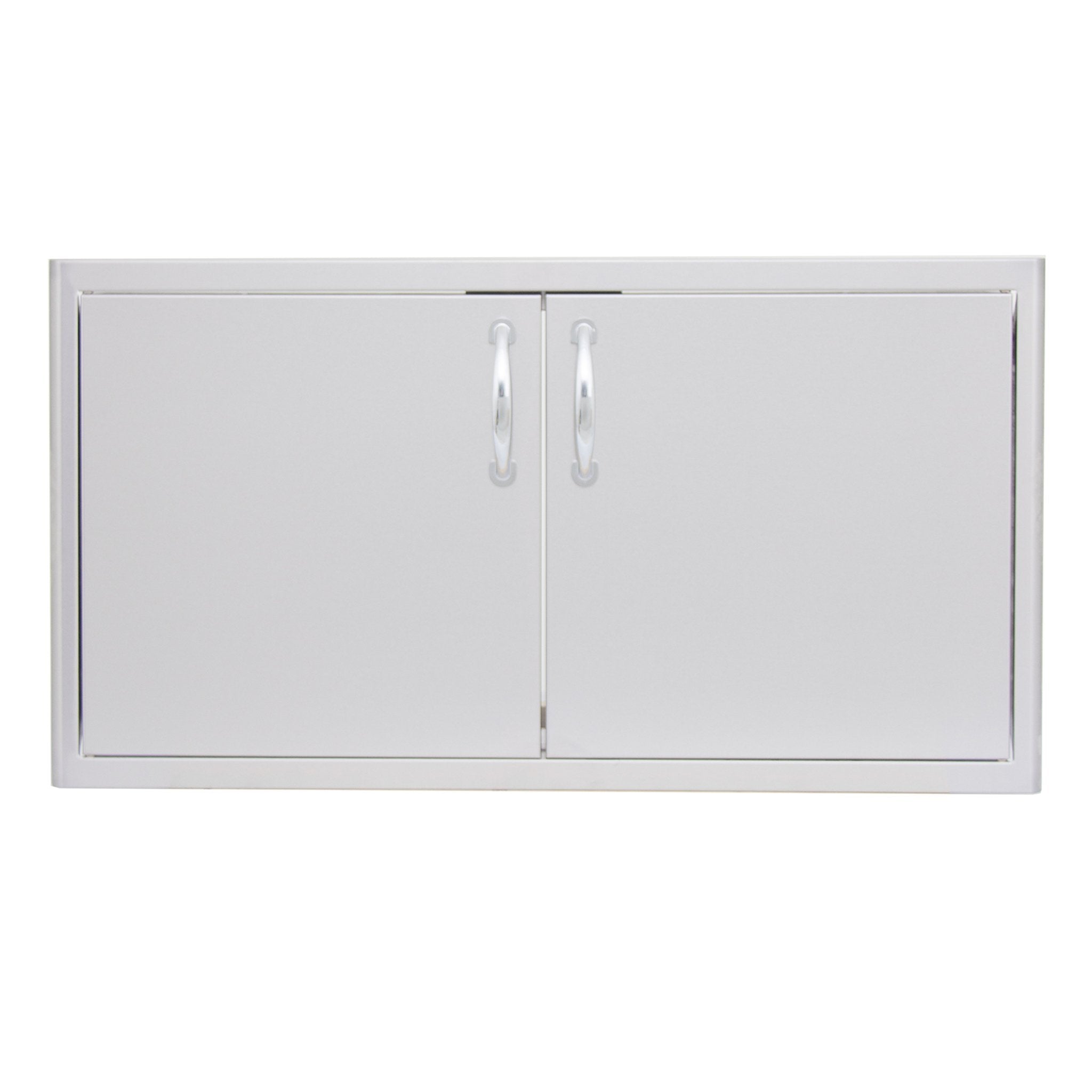 40" Stainless Steel Double Access Door with Paper Towel Dispenser